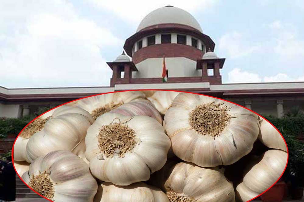 प्रदेशभर की मंडियों में फिर से लहसुन की नीलामी की प्रक्रिया बदल जाएगी, सुप्रीम कोर्ट ने दिया अंतिम निर्णय