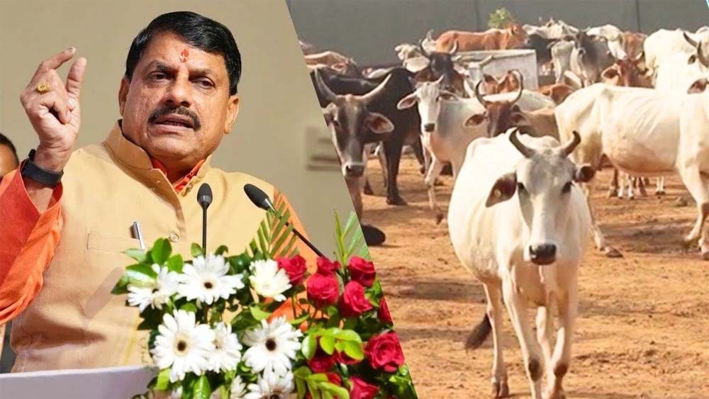 मध्यप्रदेश कैबिनेट बैठक में अन्नदाता मिशन को दी गई स्वीकृति, किसानों की समृद्ध बनाने की दिशा में कदम मध्यप्रदेश कैबिनेट बैठक में अन्नदाता मिशन को दी गई स्वीकृति, किसानों की समृद्ध बनाने की दिशा में कदम