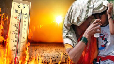 मध्यप्रदेश में सूरज की तपिश तेज, गर्मी का असर बढ़ा, भोपाल, इंदौर, ग्वालियर, उज्जैन समेत प्रदेश के 20 शहरों में दिन का तापमान 40 डिग्री के पार पहुंचा