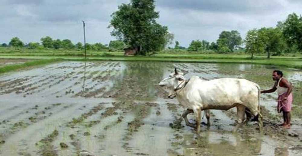 छत्तीसगढ़ में असमय मानसून की एंट्री से ‘खेती पर खतरा’