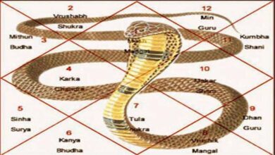 सपने में कुछ ऐसी चीजें दिखाई दे तो समझ लेने कालसर्प दोष