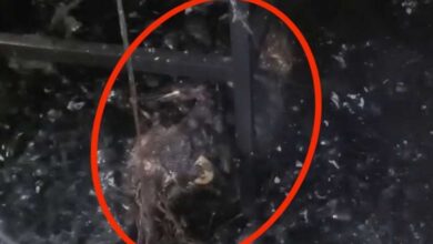 छत्तीसगढ़ में UP के 2 मजदूर जिंदा जले, निर्माण कैंपों की सुरक्षा व्यवस्था पर सवाल