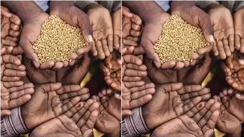 गुना में मुर्दे खा गए करोड़ों का आनाज, जांच में हुआ बड़े फर्जीवाड़े का खुलासा गुना में मुर्दे खा गए करोड़ों का आनाज, जांच में हुआ बड़े फर्जीवाड़े का खुलासा