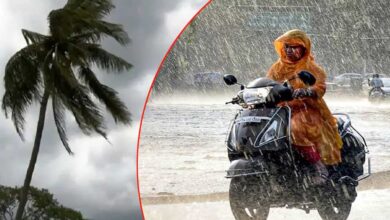 मई माह का पहला पखवाड़ा बीता, 25 साल में पहली बार इतना कम तपा !