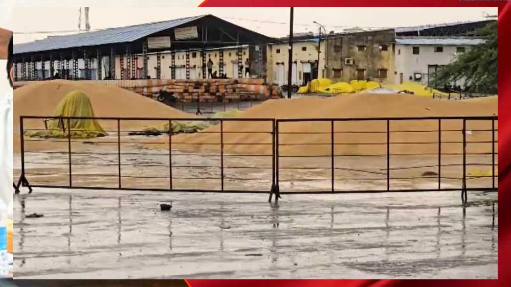 आगर मालवा में बेमौसम बारिश से मंडी में खुले में रखा हजारों क्विंटल गेहूं भीगा, व्यापारियों को भारी नुकसान आगर मालवा में बेमौसम बारिश से मंडी में खुले में रखा हजारों क्विंटल गेहूं भीगा, व्यापारियों को भारी नुकसान