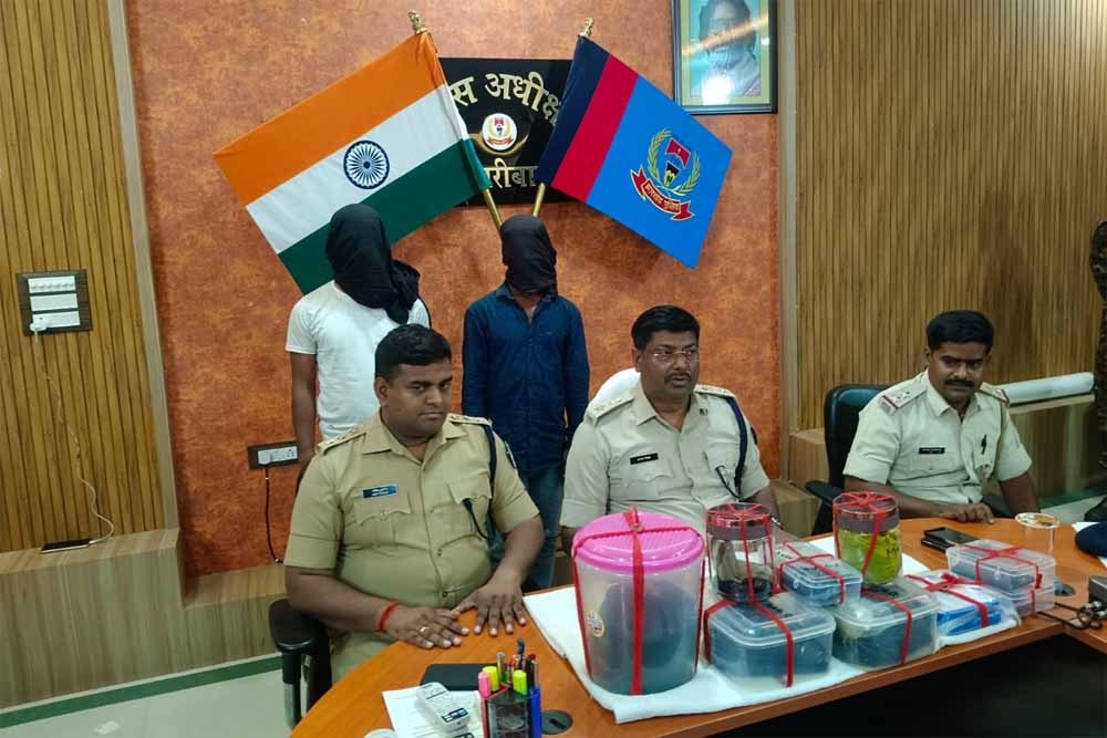 हजारीबाग में पुलिस ने भारी मात्रा में अफीम की बरामद, 2 तस्कर गिरफ्तार