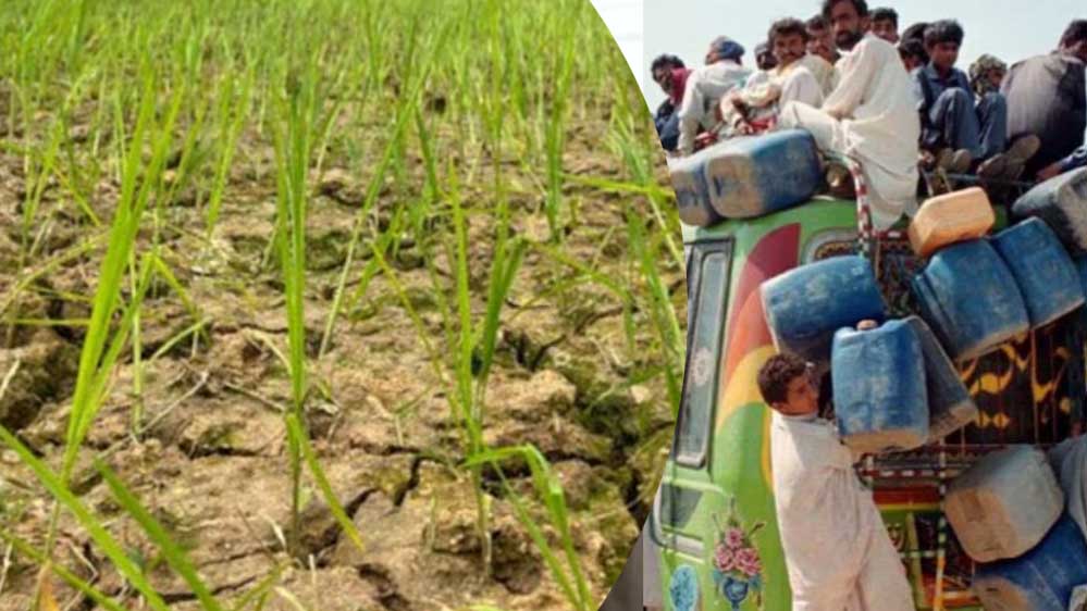 पाक को मिलने वाली आर्थिक मदद हुई कम, कुपोषण जैसे चुनौतियों से निपटने चल रहे कार्यक्रम पड़े कमजोर