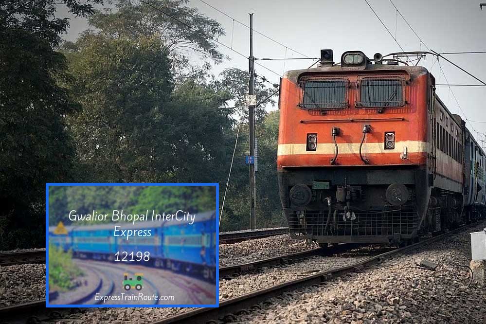 भोपाल-ग्वालियर इंटरसिटी से यात्रा करने वालों के लिए खुशखबरी, रेलवे ने इस ट्रेन को हफ्ते में 7 दिन चलाने का लिया निर्णय भोपाल-ग्वालियर इंटरसिटी से यात्रा करने वालों के लिए खुशखबरी, रेलवे ने इस ट्रेन को हफ्ते में 7 दिन चलाने का लिया निर्णय