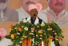 रायपुर : मुख्यमंत्री विष्णुदेव साय के आगमन पर उनका लोकनृत्य व लोकगीत के माध्यम से भव्य स्वागत किया गया