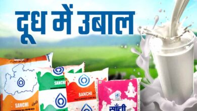 सांची ने दूध के दाम बढ़ाए, आज से इतने रुपए लीटर मिलेगा दूध, दही, मक्खन, घी भी महंगा