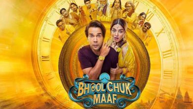 ऑपरेशन सिंदूर : राजकुमार की फ‍िल्म पर असर! सुरक्षा की खात‍िर बदली रिलीज डेट