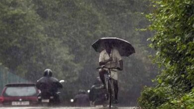 इस बार देश में मॉनसून की एंट्री समय से पहले हुई, झमाझम बारिश का अलर्ट