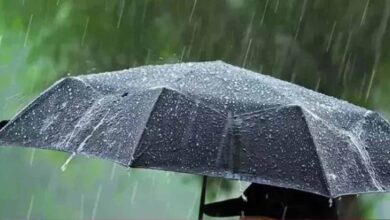 अरब सागर से लेकर बंगाल की खाड़ी तक फैली कई सक्रिय मौसम प्रणालियों के कारण मई की तपन पर लगा ब्रेक