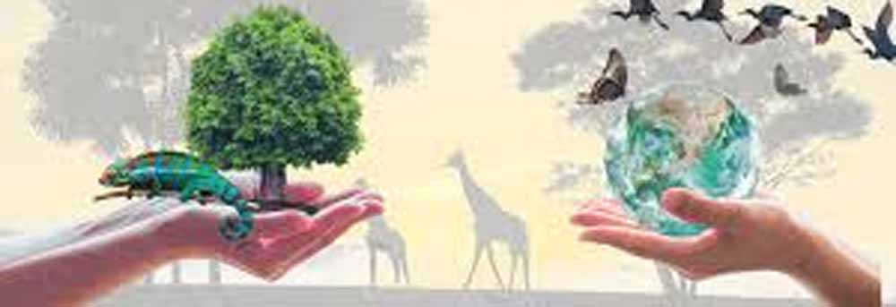 अंतर्राष्ट्रीय जैव विविधता दिवस पर पेंच टाइगर रिजर्व में नया अभियान बाघदेव शुरू