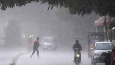 आईएमडी ने 30 मई से 5 जून तक भारी बारिश का अनुमान व्यक्त किया, ‘ऑरेंज अलर्ट’ जारी