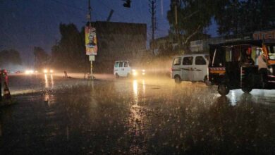 मध्यप्रदेश में अगले 4 दिन तक आंधी, बारिश और गरज-चमक का दौर रहेगा
