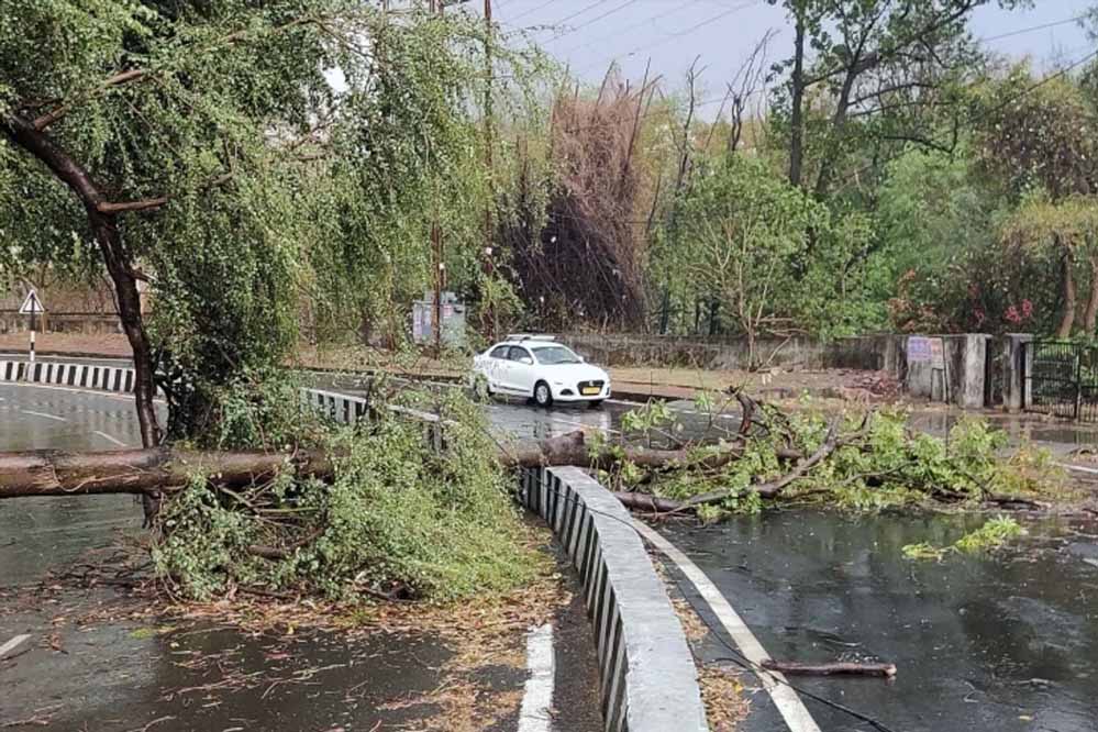 मई महीने में प्रदेश में सावन-भादौ जैसा मौसम, कहीं लू तो कहीं आंधी-बारिश, मुरैना और छतरपुर में पेड़ गिरे मई महीने में प्रदेश में सावन-भादौ जैसा मौसम, कहीं लू तो कहीं आंधी-बारिश, मुरैना और छतरपुर में पेड़ गिरे