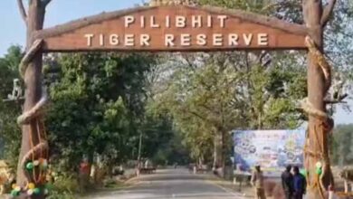 पीलीभीत टाइगर रिजर्व में पर्यटन सत्र आखिरी दौर में, 15 जून को बंद हो जाएंगे