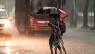 दक्षिण-पश्चिम मानसून ने फिर से रफ्तार पकड़ी, अगले 3 दिन में मानसून मध्यप्रदेश में प्रवेश कर लेगा