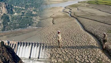 सिंधु नदी के पानी में कटौती से पाकिस्तान में फसलों की बुआई प्रभावित, सिंध-पंजाब में हाहाकार