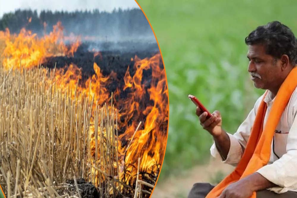 एमपी में नरवाई जलाने वाले 7000 किसानों की किसान सम्मान निधि पर लगेगी रोक? जानें क्यों होगा ऐसा एमपी में नरवाई जलाने वाले 7000 किसानों की किसान सम्मान निधि पर लगेगी रोक? जानें क्यों होगा ऐसा