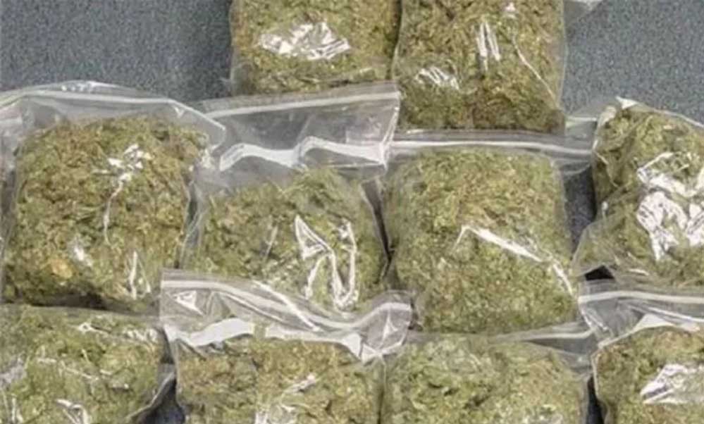 ग्वालियर पुलिस ने नशा तस्करों से पांच किलो गांजा किया जब्त, एक लाख के करीब कीमत, पुलिस ने दर्ज किया मामला