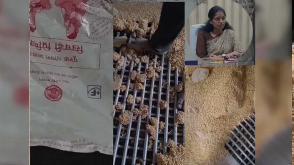 रीवा में गर्भवती महिलाओं को दिए जाने वाले पोषण आहार को पैरों से कुचलकर बनाये जाने का एक वीडियो सामने आया रीवा में गर्भवती महिलाओं को दिए जाने वाले पोषण आहार को पैरों से कुचलकर बनाये जाने का एक वीडियो सामने आया