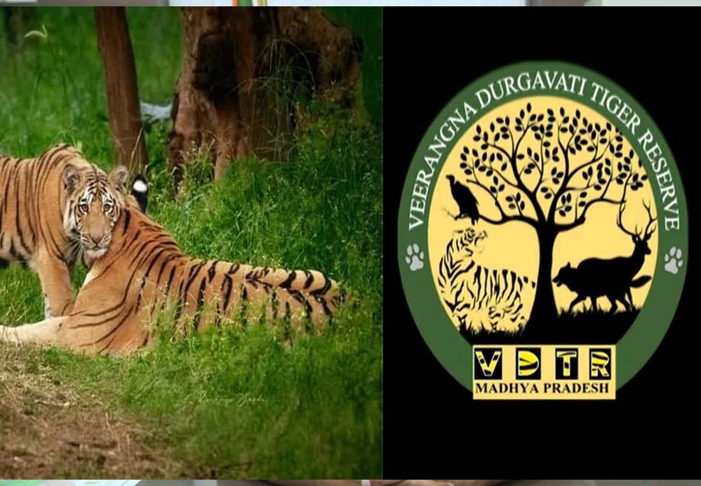 दमोह जिले की रेंज के 22 कर्मचारी वीरांगना दुर्गावती टाइगर रिजर्व से अटैच, अलग से बनाई जा रहीं तीन रेंज
