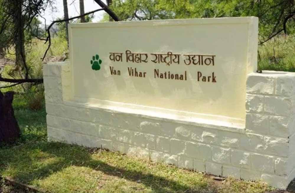 वन विहार में किंग कोबरा की मृत्यु वन विहार में किंग कोबरा की मृत्यु