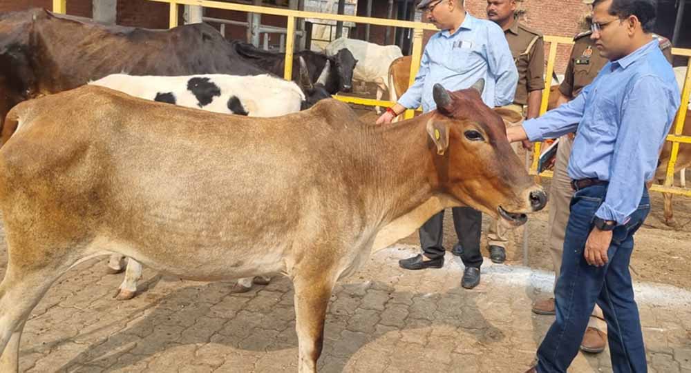 एक भी गौमाता बेसहारा न रहे : उप मुख्यमंत्री शुक्ल