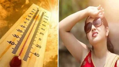 रोहतास, गोपालगंज, बक्सर और पटना समेत कई जिलों में तेज धूप, पारा 40 डिग्री के पार
