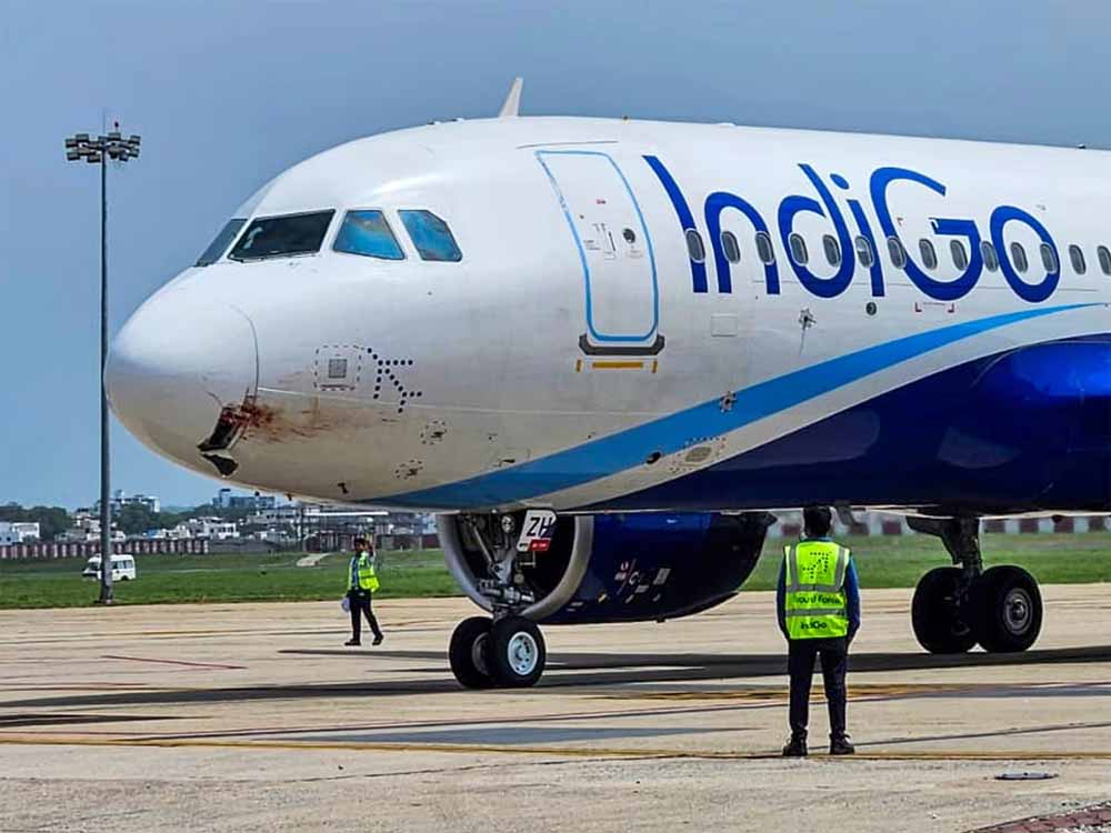 विमान में बम की धमकी मामला आया सामने, बम की धमकी मिलने के बाद नागपुर में इमरजेंसी लैंडिंग, मचा हड़कंप विमान में बम की धमकी मामला आया सामने, बम की धमकी मिलने के बाद नागपुर में इमरजेंसी लैंडिंग, मचा हड़कंप