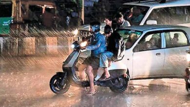 यूपी-एमपी में भारी बारिश की चेतावनी जारी, बस दस्तक देने वाला है मानसून, मध्य प्रदेश के 39 जिलों में बरसेंगे बादल