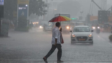 प्री मानसून भीषण गर्मी में राहत देने आ रहा, 16 जून से प्रदेश  में झमाझम बारिश