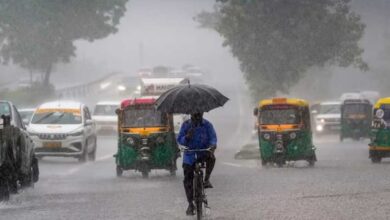 ग्वालियर-चंबल में जोरदार बारिश, 17 जिलों में अलर्ट:मानसूनी बारिश से पूरा एमपी तरबतर; भोपाल, इंदौर-जबलपुर भी भीगेंगे