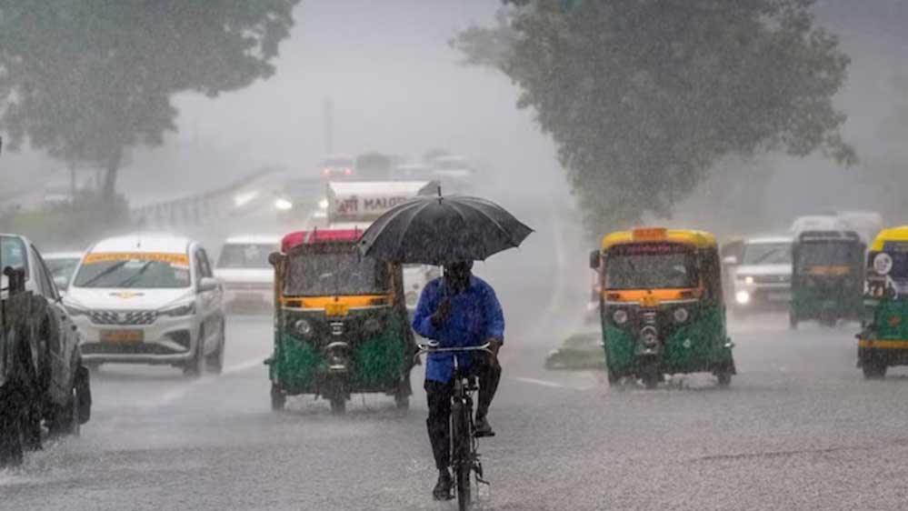 ग्वालियर-चंबल में जोरदार बारिश, 17 जिलों में अलर्ट:मानसूनी बारिश से पूरा एमपी तरबतर; भोपाल, इंदौर-जबलपुर भी भीगेंगे ग्वालियर-चंबल में जोरदार बारिश, 17 जिलों में अलर्ट:मानसूनी बारिश से पूरा एमपी तरबतर; भोपाल, इंदौर-जबलपुर भी भीगेंगे