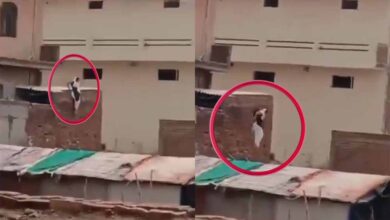 बागपत में विवाहिता होटल की छत से कूदकर फरार, प्रेमी को पुलिस के हवाले किया गया