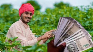 पीएम किसान योजना: 20वीं किस्त कब आएगी? जानें ई-केवाईसी की प्रक्रिया