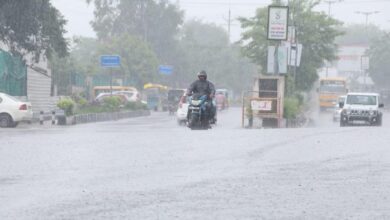 अत्यधिक वर्षा के चलते 30 जुलाई को भोपाल के सभी स्कूलों में रहेगा अवकाश