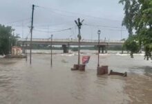 बेतवा में उफान, सात जिलों में हाईअलर्ट; कई बांधों से छोड़ा गया पानी
