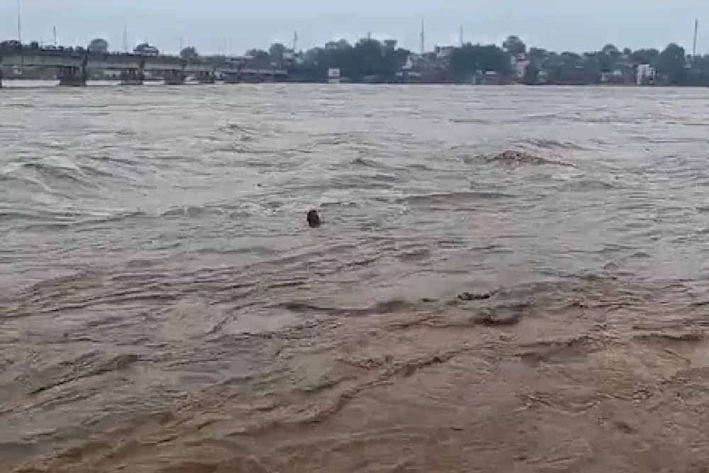 झारखंड के लिए अगले 24 घंटे भारी, 12 जिलों में अचानक बाढ़ की आशंका झारखंड के लिए अगले 24 घंटे भारी, 12 जिलों में अचानक बाढ़ की आशंका