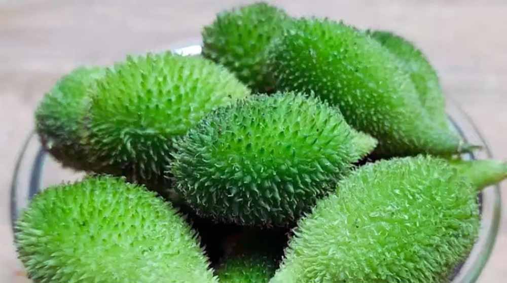 महंगी लेकिन असरदार: राजधानी के अलग-अलग बाजारों में खेखसी 400 रुपए प्रति किलो महंगी लेकिन असरदार: राजधानी के अलग-अलग बाजारों में खेखसी 400 रुपए प्रति किलो