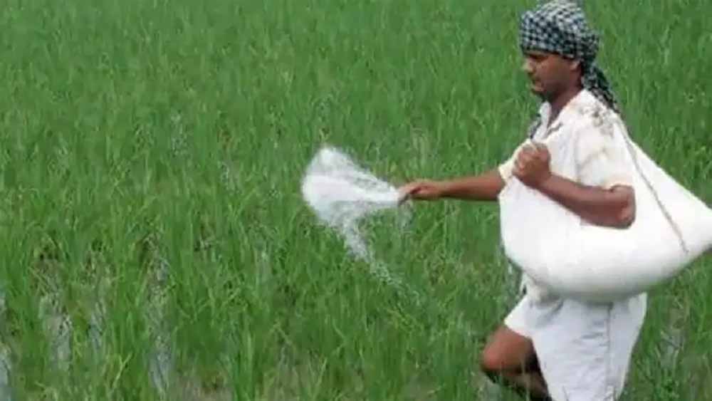 छत्तीसगढ़ में खाद की कोई कमी नहीं छत्तीसगढ़ में खाद की कोई कमी नहीं