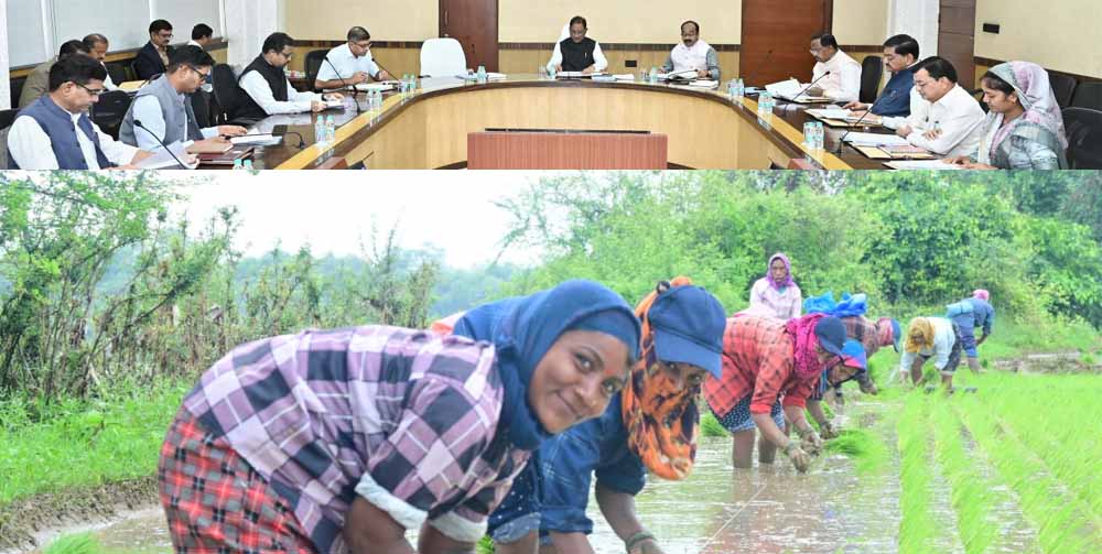 सरकार के नीतिगत फैसलों ने बढ़ाया छत्तीसगढ़ के किसानों का मान सरकार के नीतिगत फैसलों ने बढ़ाया छत्तीसगढ़ के किसानों का मान