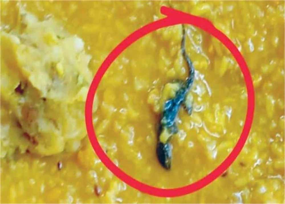 मिड-डे मील में मिली छिपकली, दर्जनों छात्र अस्पताल में भर्ती मिड-डे मील में मिली छिपकली, दर्जनों छात्र अस्पताल में भर्ती