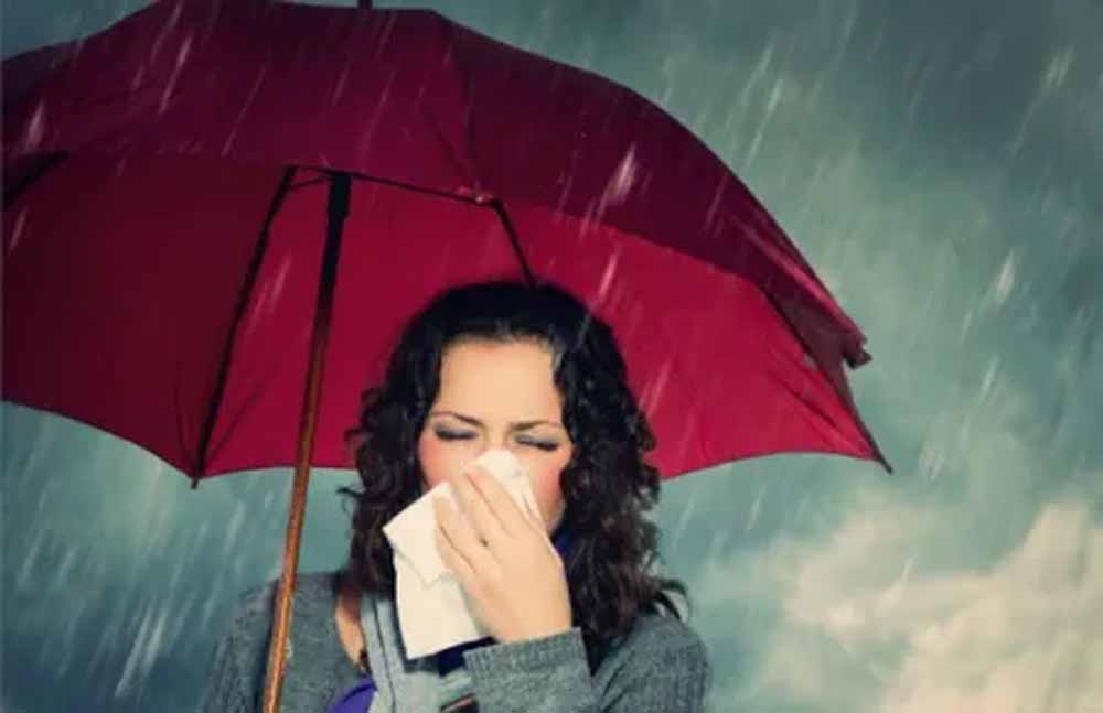 बारिश में भीगना पड़ सकता है भारी: सावधानी नहीं बरती तो हो सकते हैं बीमारियों के शिकार बारिश में भीगना पड़ सकता है भारी: सावधानी नहीं बरती तो हो सकते हैं बीमारियों के शिकार
