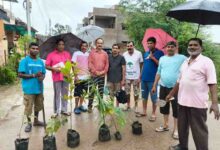 गणपति विहार में उत्साह के साथ मनाया गया हरेली पर्व