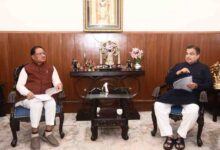 राज्य की सड़कों और विकास योजनाओं पर चर्चा करने,आज शाम केंद्रीय मंत्री नितिन गडकरी से मिले मुख्यमंत्री विष्णुदेव साय