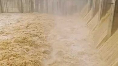 मूसलधार बारिश से बढ़ा जलस्तर: रनगुवां और कुटनी डैम के गेट खुले, कई जिलों में स्कूल बंद