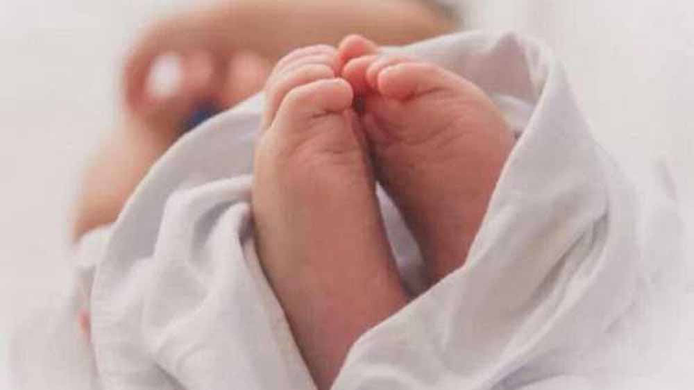 पांच माह के दुधमुहें को लावारिस छोड़कर मां हुई फरार पांच माह के दुधमुहें को लावारिस छोड़कर मां हुई फरार